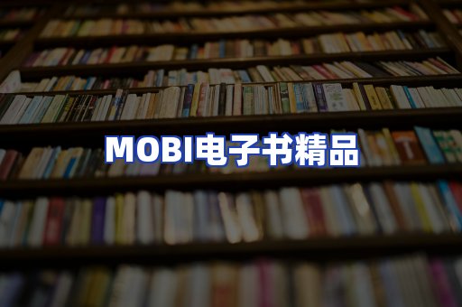 外文电子书产品